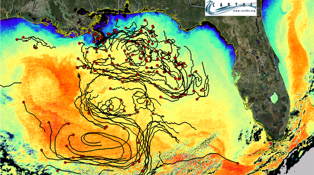 ECOGIG researchers characterize seasonal evolution of circulation patterns in the surface waters of the Gulf of Mexico